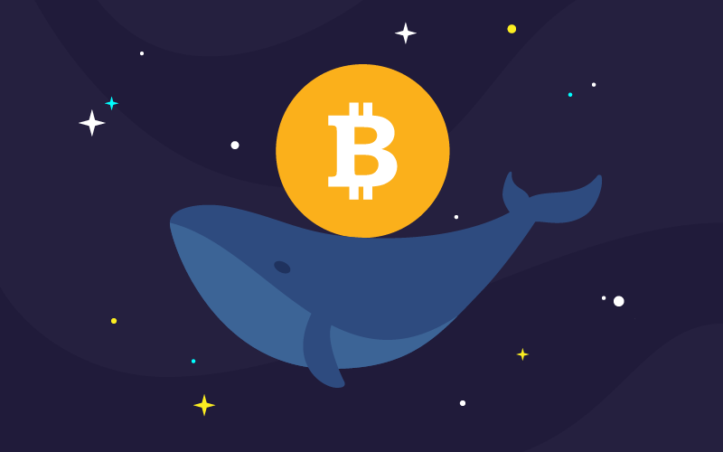 bitcoin-whales1-btc