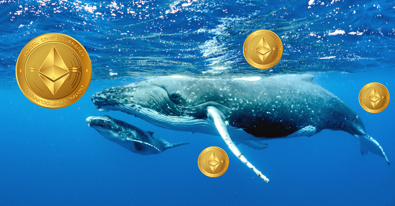 whale-eth