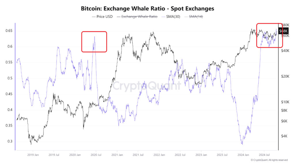 4BTC-2