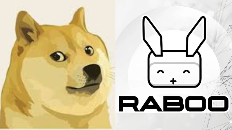 dog-raboo