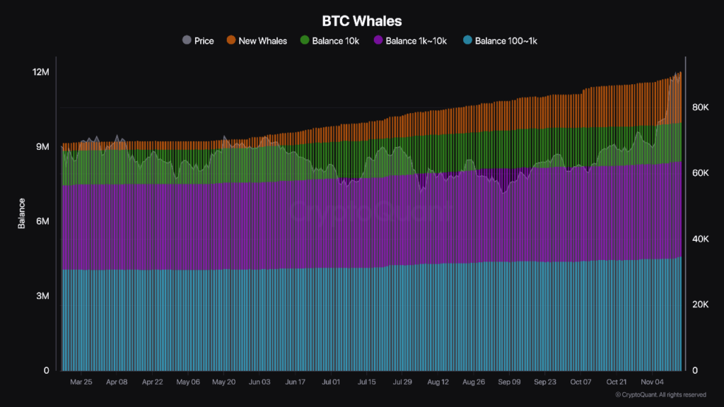 BTC-Whales