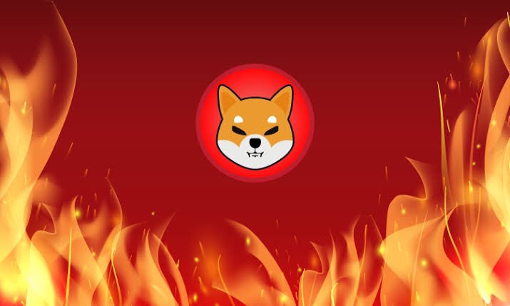 shiba-inu-burn