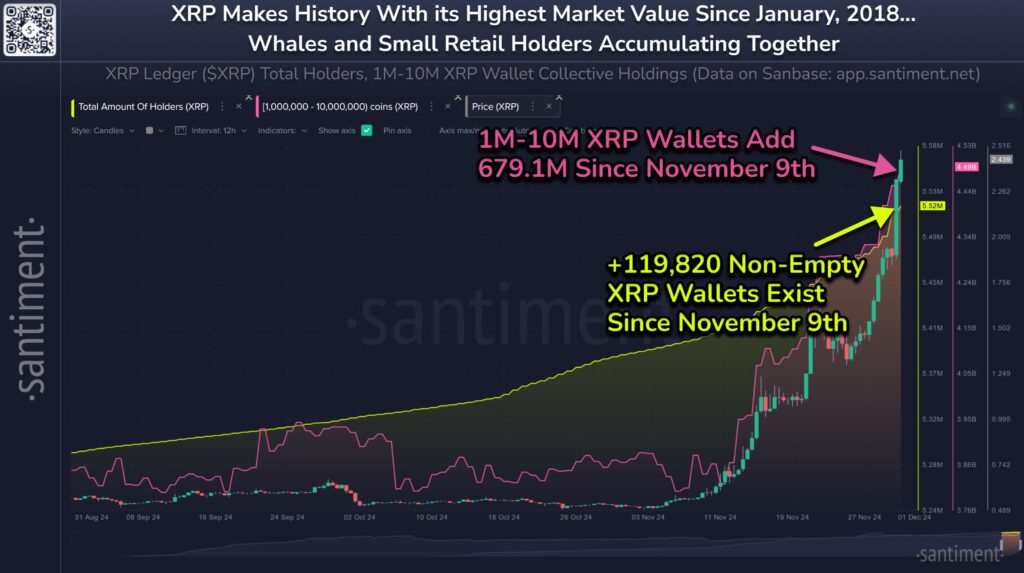 XRP-2