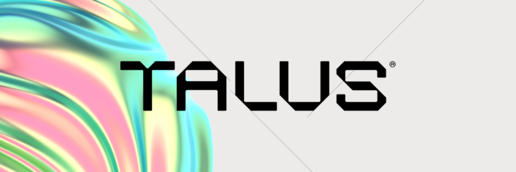 talus-network-6